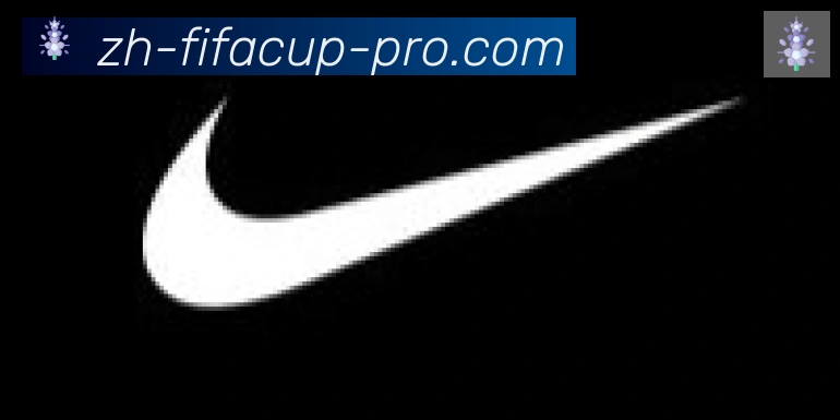 FIFA世界杯比分官方网站合作伙伴