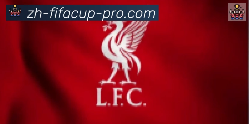 FIFA世界杯比分官方网站合作伙伴